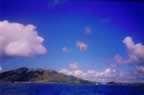 parasailing2.jpg (7kb)