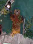 Bear.jpg (17kb)