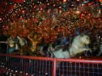 Carousel1.jpg (31kb)