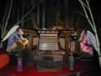 Organ.jpg (20kb)
