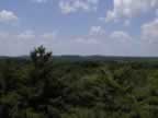 View1.jpg (11kb)